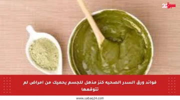 فوائد ورق السدر الصحية كنز مذهل للجسم يحميك من أمراض لم تتوقعها